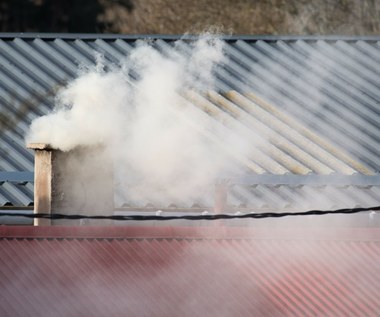 Wraca pomysł Stref Czystego Transportu. Obecnie nie działa ani jedna