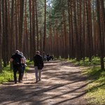 Wraca sprawa okresowych badań myśliwych. Ministerstwo stawia sprawę jasno