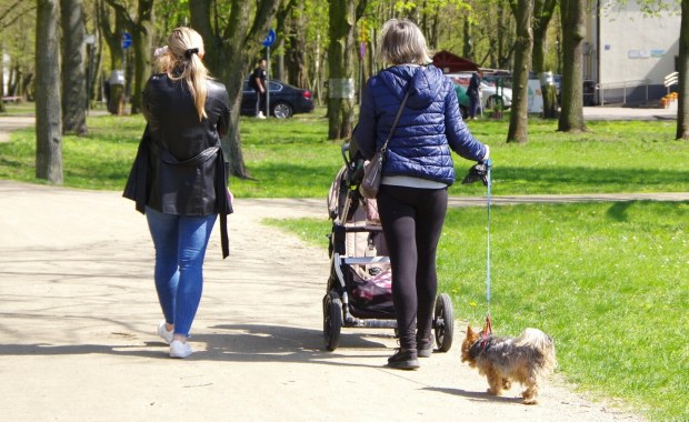 Wraca wiosna? Wiemy, kiedy zacznie się ocieplać 