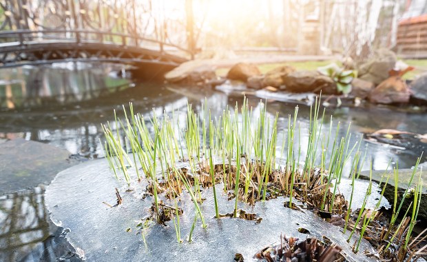 Wraca zima. Jest ostrzeżenie przed przymrozkami 