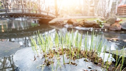 Wraca zima. Jest ostrzeżenie przed przymrozkami 