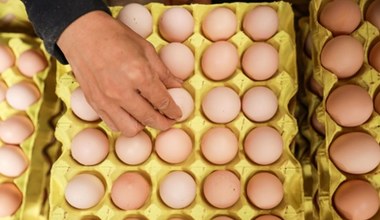Wracają ograniczenia w imporcie jaj z Ukrainy. UE nakłada cła także na inne produkty