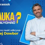 Wracają "zapomniane" choroby zakaźne. Co z naszą odpornością?