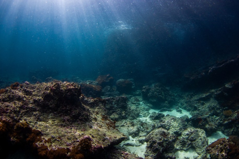 Na głębokości 2567 m spoczywał skarb. Niezwykłe odkrycie francuskiej armii