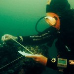 Wrak statku Jamesa Cooka odnaleziony u wybrzeży USA
