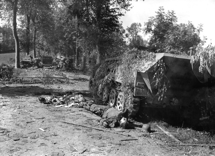 Wraki niemieckich czołgów rozbitych podczas bitwy pod Falaise /Everett Collection /East News