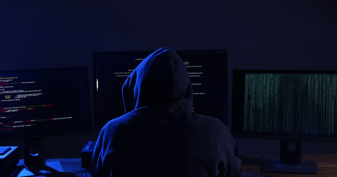 Wrażliwe informacje coraz częściej wpadają w ręce cyberprzestępców /123RF/PICSEL