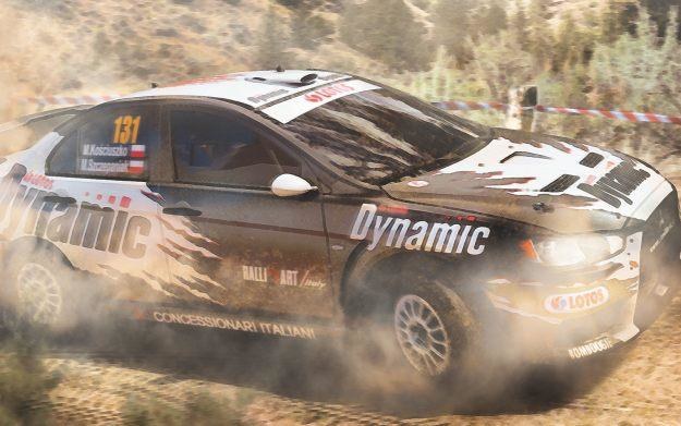 WRC 3 - motyw graficzny /