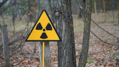 Wreszcie ktoś wyjaśnił, o co chodzi w powrocie USA do testów jądrowych