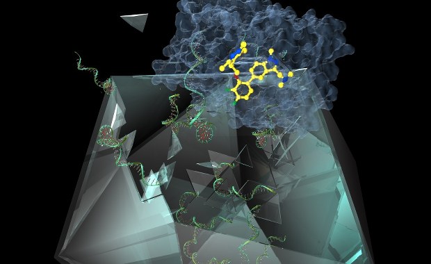 Wreszcie skuteczny sposób na przeziębienie?