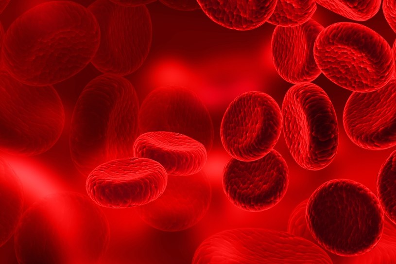 Wreszcie uda się stworzyć sztuczną krew? /123RF/PICSEL