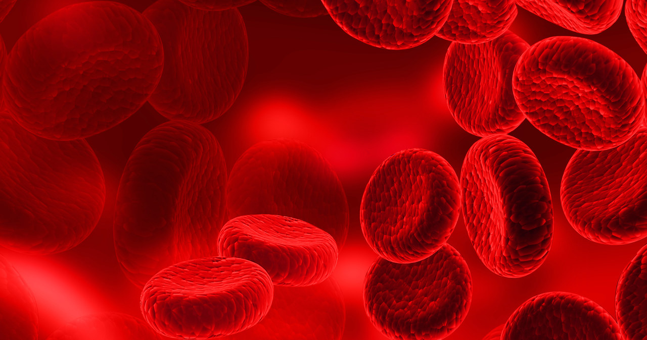 Wreszcie uda się stworzyć sztuczną krew? /123RF/PICSEL