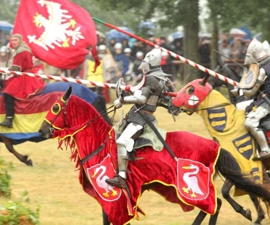 Wrócą do poszukiwań pola bitwy pod Grunwaldem 