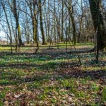 Wrocław ma powód do przyrodniczej dumy. Ministra klimatu ogłosiła