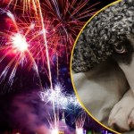 Wrocław nie strzela. Zakaz fajerwerków w całym mieście 