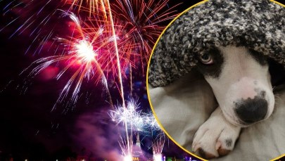 Wrocław nie strzela. Zakaz fajerwerków w całym mieście 