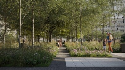 Wrocław: Plac Nowy Targ z betonowego ma się zmienić w zielony