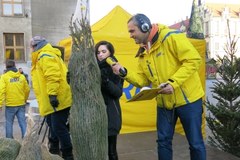 Wrocław: Rozdajemy "Choinki pod Choinkę" od RMF FM