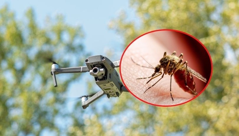 Wrocław walczy z komarami przy użyciu dronów /Shutterstock