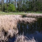 Wrocławianie pomagają monitorować wody
