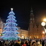 Wrocławska choinka w pełnym blasku. Rozświetliło ją 150 tysięcy światełek