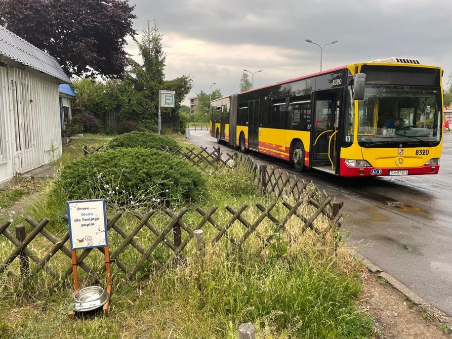 Wrocławskie MPK przygotowało miski z wodą dla czworonogów /MPK Wrocław /