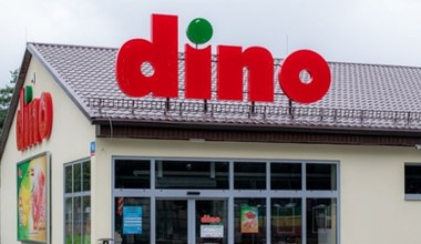 Wrzosy i kwiaty doniczkowe od 4,39 zł! Nowa gazetka Dino robi furorę