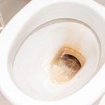 Wrzuć to do toalety. Usunie nawet największy kamień