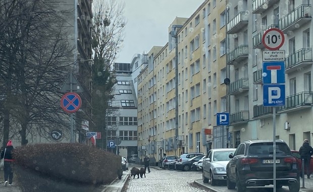 WSA unieważnił przepisy dotyczące "mandatów" w strefie płatnego parkowania w Gdyni 