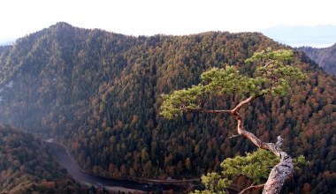 Wschód słońca w Pieninach