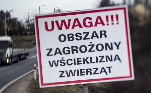 ​Wścieklizna w Cieszynie. Wyznaczono obszar zagrożenia