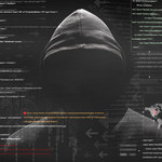"WSJ": Analitycy badają informacje o włamaniu hakerów na komputery NSA 