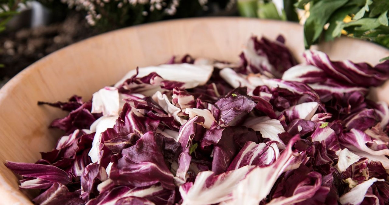 Wspiera walkę z anemią i pomaga w odchudzaniu. Warzywo rodem z Włoch. /iacu /Canva Pro