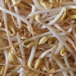 rośliny strączkowe Wspierają pracę mózgu, serca i jelit. Poprawiają stan skóry, podkręcają metabolizm