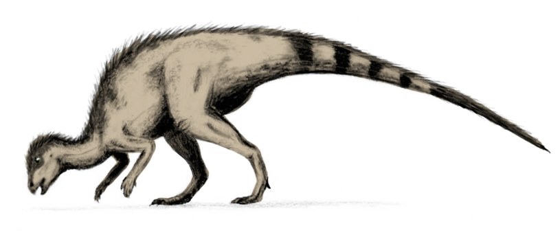 Współczesna rekonstrukcja gatunku Hipsylofodon foxii. Zwierzęta te żyły wraz ze wczesnymi gatunkami rodziny tyranozaurów, osiągając ok. 2,5 metrów długości /Nobu Tamura /Wikipedia