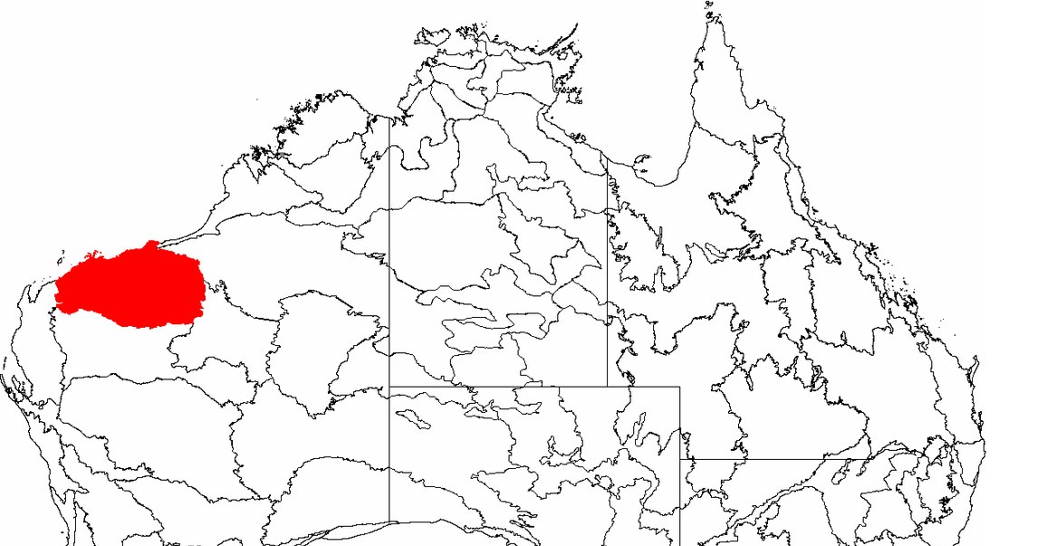 Współczesne położenie kratonu Pilbara na tle mapy Australii. /Hesperian/CC BY-SA 3.0 (https://creativecommons.org/licenses/by-sa/3.0/deed.pl) /Wikimedia