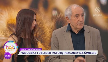 Wspólnie ratują pszczoły. Niezwykły start-up dziadka i wnuczki
