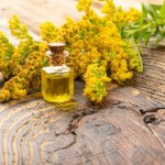 Wspomaga pracę nerek, przyda się przy jesiennych infekcjach. Jak zrobić domowy syrop z nawłoci?