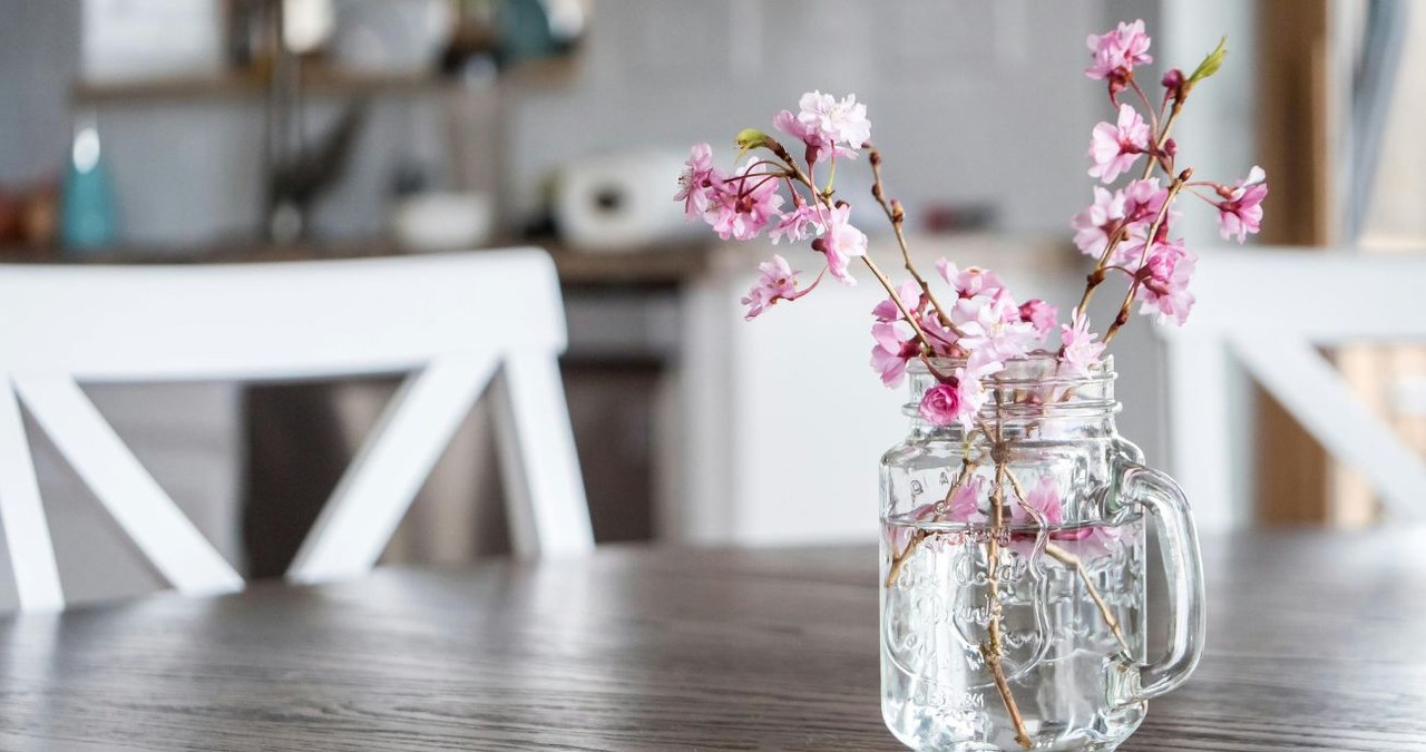 Wstawianie do wazonu gałązek wiśni było jedną z wróżb podczas katarzynek /Jessica Lewis /Pexels.com