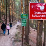 Wstęp do wszystkich parków narodowych w Polsce będzie płatny