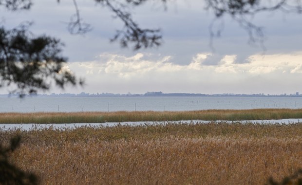 Wstępne prace w miejscu planowanego przekopu przez Mierzeję Wiślaną