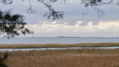Wstępne prace w miejscu planowanego przekopu przez Mierzeję Wiślaną