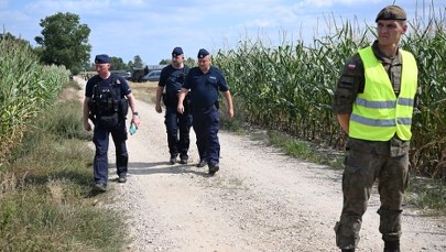 Wstępne ustalenia: Na pole kukurydzy spadł wojskowy dron