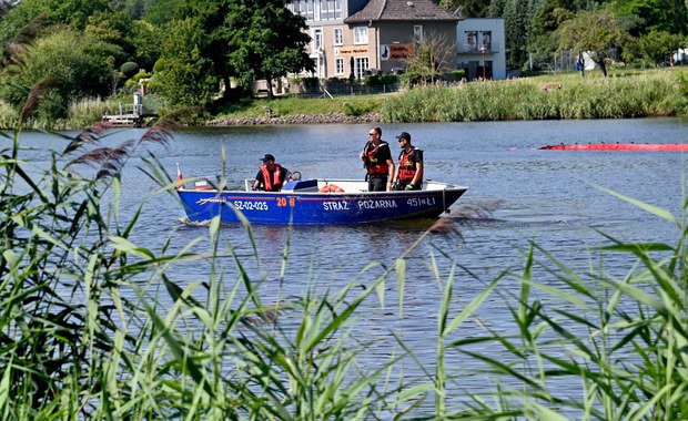 Wstępne wyniki badań wody z Odry w Niemczech. Przyczynę zatrucia trudno wskazać