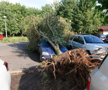 ​Wstępny bilans niedzielnych burz