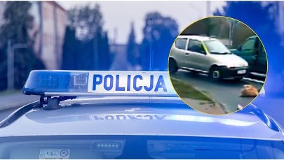 Wstrząsające nagranie. 80-latek potrącił na pasach 6-latkę