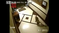 Wstrząsające wideo! Dziki zwierz w domu i straszny koniec psa!