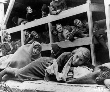 Wstrząsające wspomnienia byłych więźniów Auschwitz