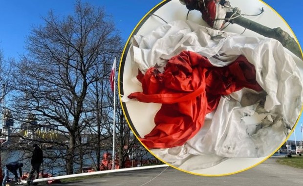 Wstrząsający akt wandalizmu na Westerplatte. Sprawca trafił do aresztu