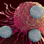 Wstrzyknięcie martwych komórek pomaga walczyć z nowotworami